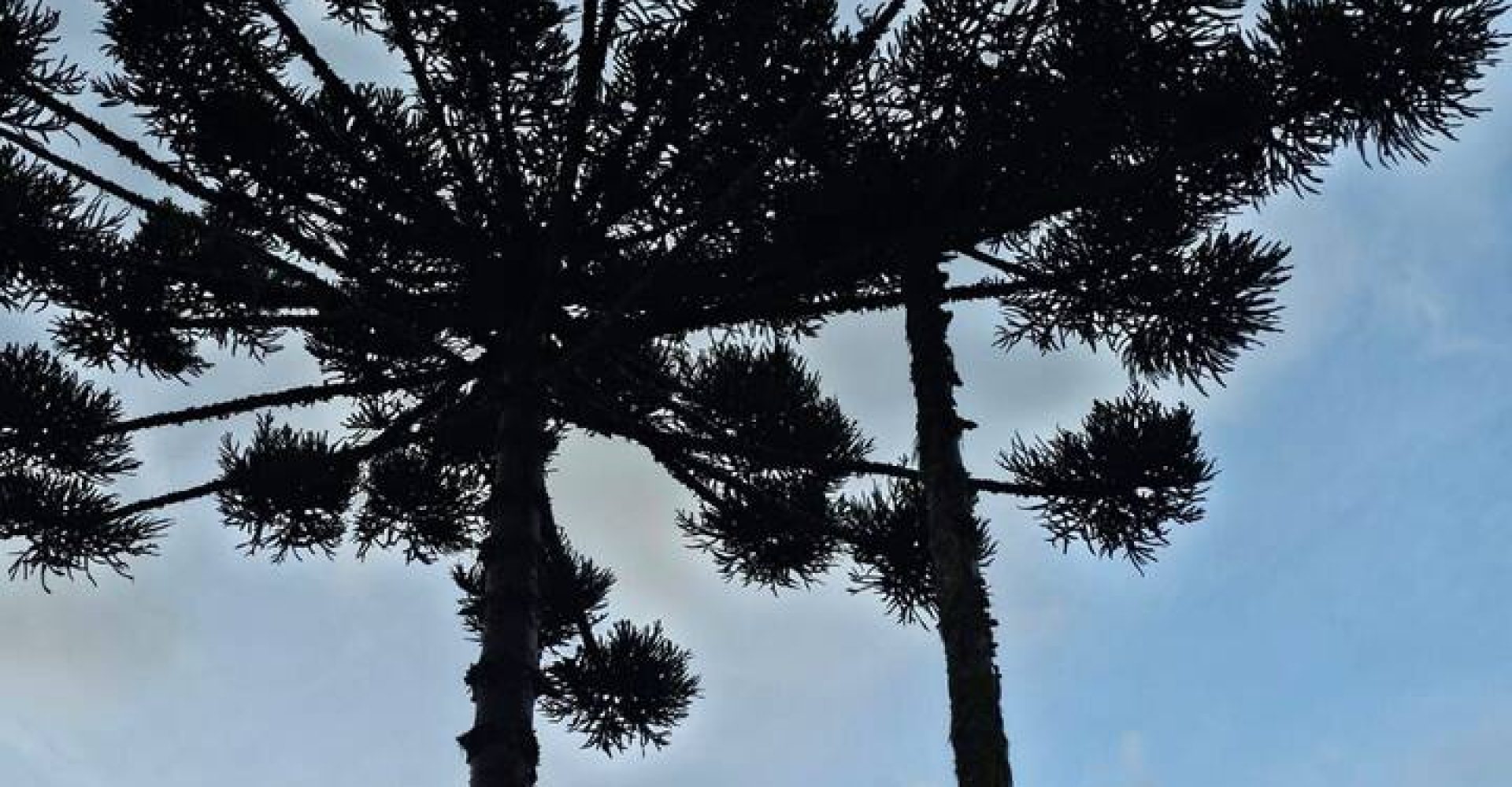 13e334e2-4ca2-481a-90bb-ec402acafb6c