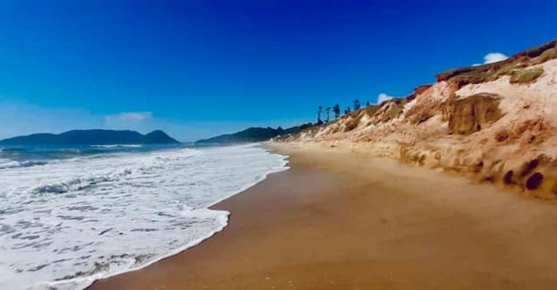 2d2fd02a-c0d2-4ce2-ab34-4dd5e806dfbf