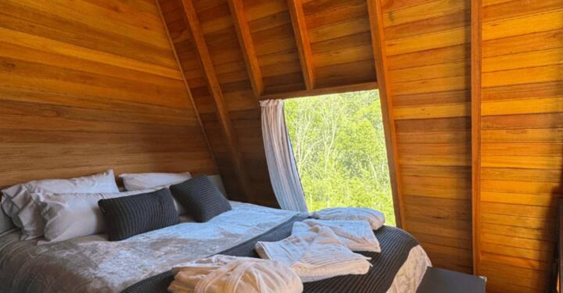 7bd38e98-42a7-4086-99b7-725dae822c3a